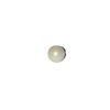 south sea pearls