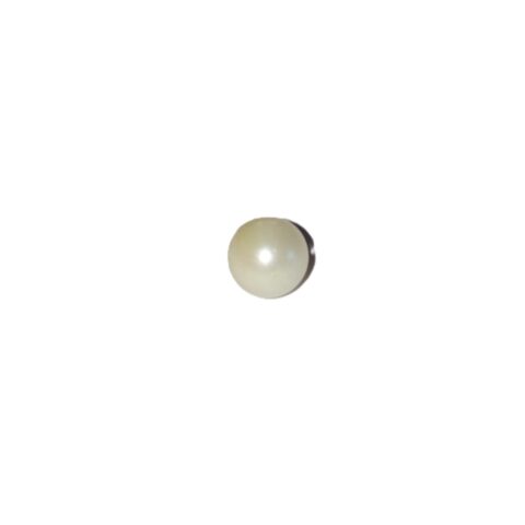 south sea pearls