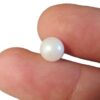 South sea pearl